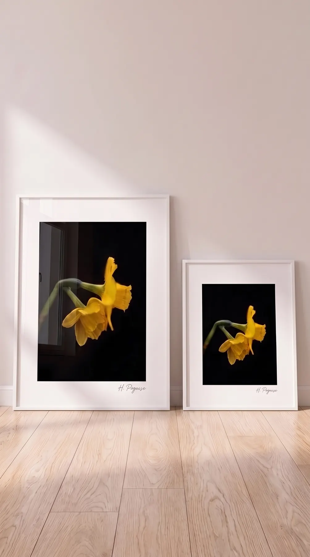 The Peguese Collection signed limited edition framed print mockup 1