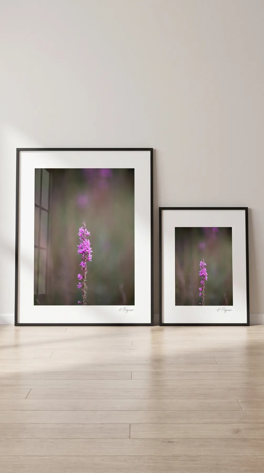 The Peguese Collection signed limited edition framed print mockup 7